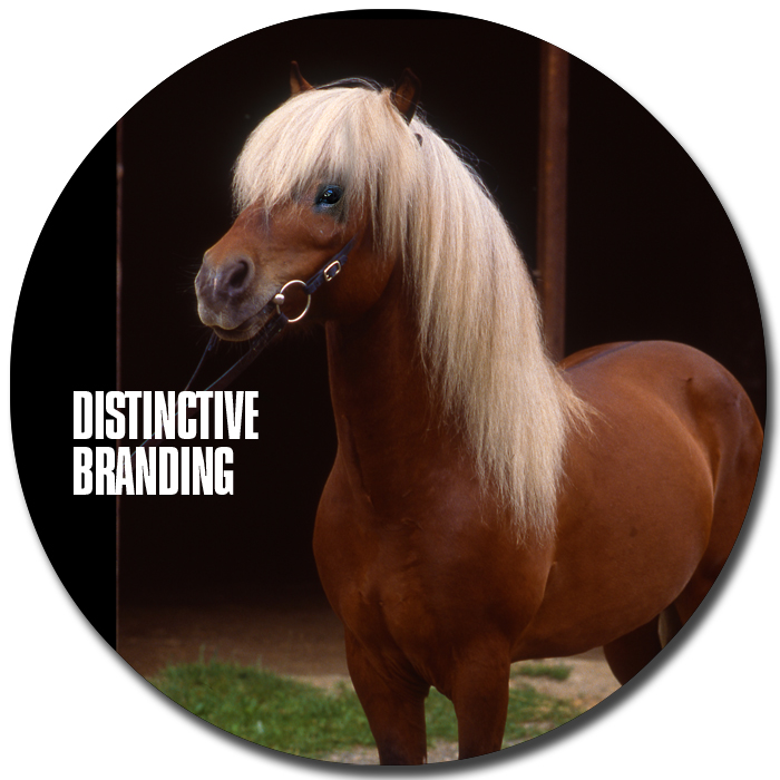 Distinctive Branding!