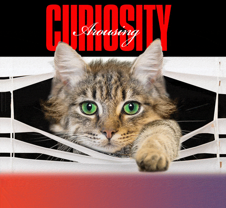 Arousing Curiosity